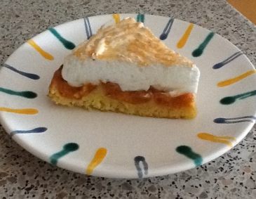 Marillenkuchen mit Kokosbaiser Marillenkuchen mit Kokosbaiser