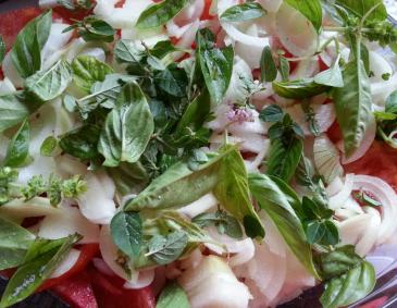 Gratiniertes Zucchini-Tomaten-Gemüse Gratiniertes Zucchini-Tomaten-Gemüse