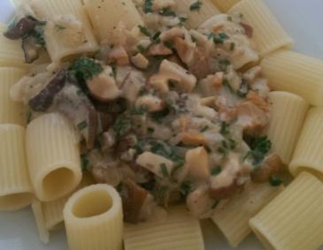 Pasta in Steinpilzsauce Pasta in Steinpilzsauce
