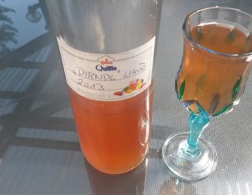 Dirndllikör Dirndllikör