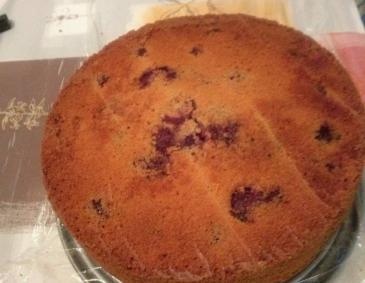 Kirschkuchen Kirschkuchen