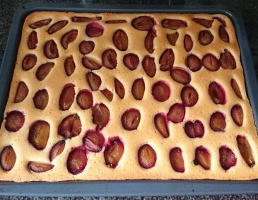 Zwetschgenkuchen vom Backblech Zwetschgenkuchen vom Backblech