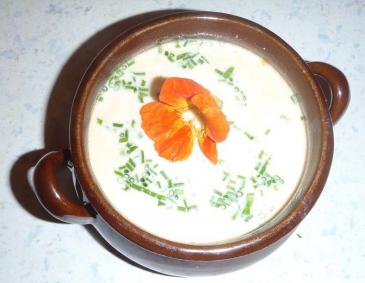 Käsesuppe aus Schmelzkäse Käsesuppe aus Schmelzkäse