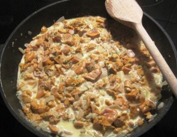 Eierschwammerlsauce Eierschwammerlsauce