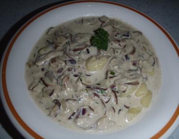 Steinpilzsoße Steinpilzsoße