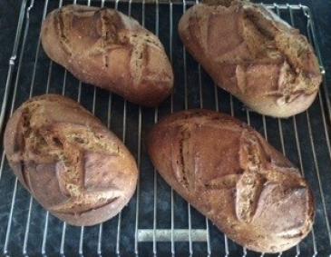 Krustenbrot mit Sonnenblumenkernen Krustenbrot mit Sonnenblumenkernen