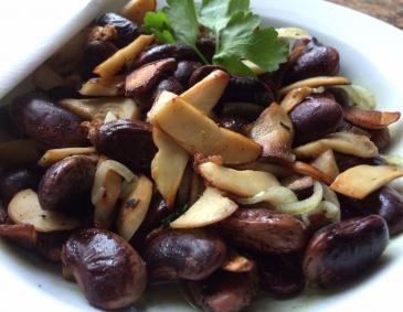 Herzhafter Käferbohnensalat mit Kräuterseitlingen Herzhafter Käferbohnensalat mit Kräuterseitlingen