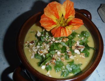 Topinambur-Cremesuppe mit Nüssen und Ingwer Topinambur-Cremesuppe mit Nüssen und Ingwer