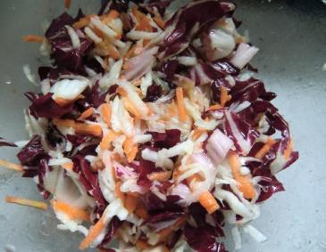 Radicchiosalat mit Karotten und Kohlrabi Radicchiosalat mit Karotten und Kohlrabi