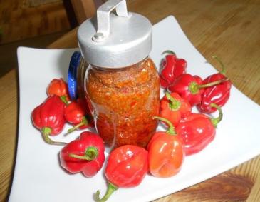 Harissa Harissa