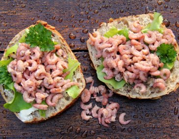 Norddeutsche Krabbenbrötchen Norddeutsche Krabbenbrötchen