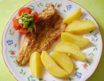 Forellenfilet gebraten Forellenfilet gebraten