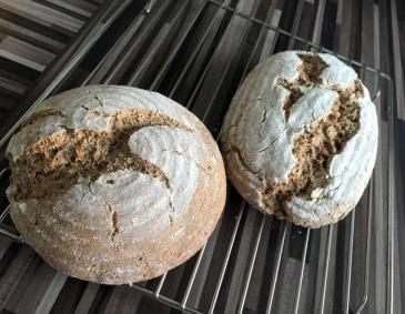 Landbrot Landbrot