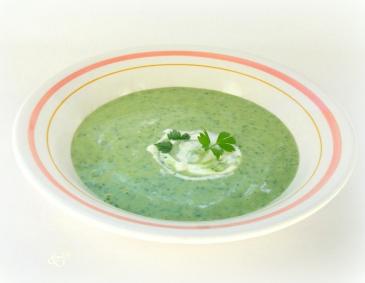 Bärlauchsuppe Bärlauchsuppe