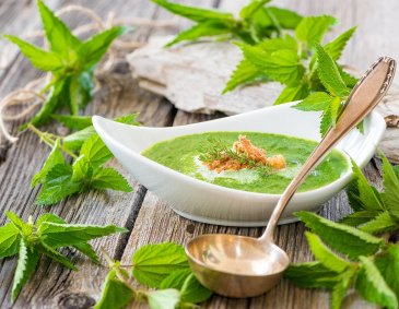 Basische Brennnesselsuppe Basische Brennnesselsuppe
