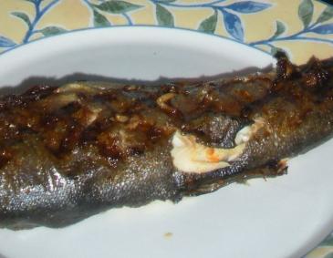 Gegrillte Forelle Gegrillte Forelle