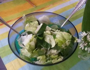 Eisbergsalat mit Bärlauch Eisbergsalat mit Bärlauch