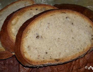 Basler Ruchbrot Basler Ruchbrot