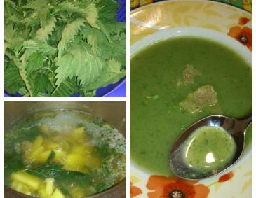 Brennnesselsuppe Brennnesselsuppe