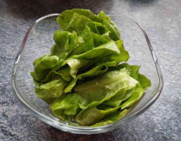 Grüner Salat Grüner Salat