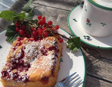 Ribisel-Topfenkuchen Ribisel-Topfenkuchen
