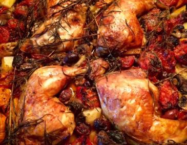 Huhn Toskana Huhn Toskana
