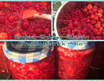 Himbeer-Erdbeer-Ribisel Bio Fruchtaufstrich Himbeer-Erdbeer-Ribisel Bio Fruchtaufstrich