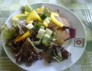 Gegrillter Räuchertofu mit Salat Gegrillter Räuchertofu mit Salat