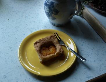 Vollkorn-Marillenkuchen Vollkorn-Marillenkuchen