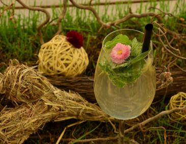 Sommermost mit Holunder Sommermost mit Holunder