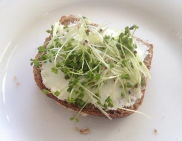 Dinkelvollkornbrot mit Topfen und Brokkolisprossen Dinkelvollkornbrot mit Topfen und Brokkolisprossen
