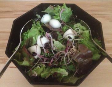 Blattsalat mit Mozzarella und Radieschensprossen Blattsalat mit Mozzarella und Radieschensprossen