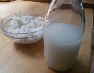 Reismilch Grundrezept Reismilch Grundrezept