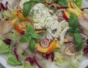 Nektarinen-Salat mit Mozzarella Nektarinen-Salat mit Mozzarella