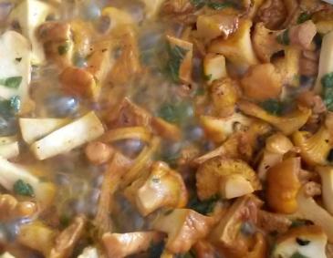 Eierschwammerl-Sauce laktosefrei Eierschwammerl-Sauce laktosefrei