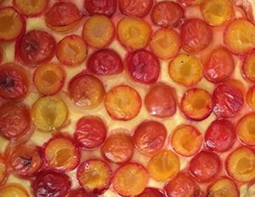 Mirabellen-Mürbteigkuchen Mirabellen-Mürbteigkuchen