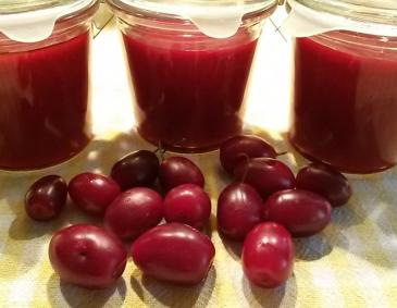 Dirndl-Marmelade Dirndl-Marmelade