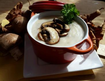 Champignon-Creme Süppchen Champignon-Creme Süppchen