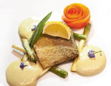 Forelle mit Kürbiskernöl-Espuma Forelle mit Kürbiskernöl-Espuma