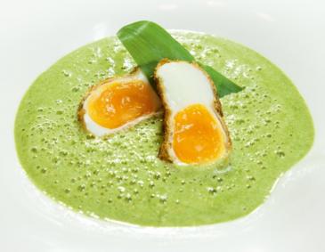 Kräuterschaumsuppe mit knusprigem Kürbiskern-Ei Kräuterschaumsuppe mit knusprigem Kürbiskern-Ei