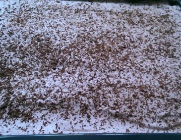 Preiselbeerschaumschnitten Preiselbeerschaumschnitten