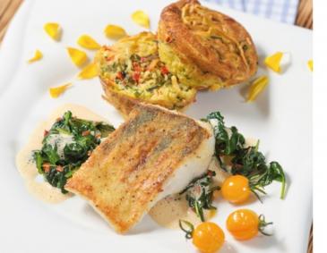 Gebratener Zander mit Nudelauflauf Gebratener Zander mit Nudelauflauf