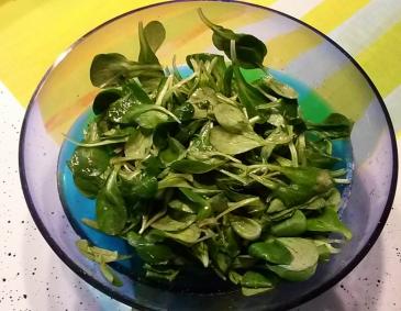 Vogerlsalat Vogerlsalat
