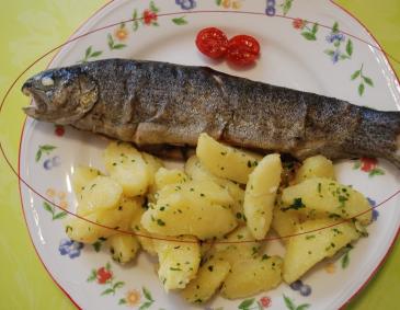 Forelle "Müllerin Art" mit Petersilkartoffeln Forelle "Müllerin Art" mit Petersilkartoffeln