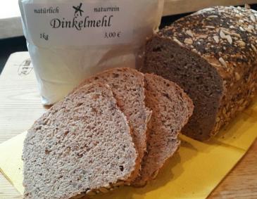 Dinkelknusperbrot Dinkelknusperbrot