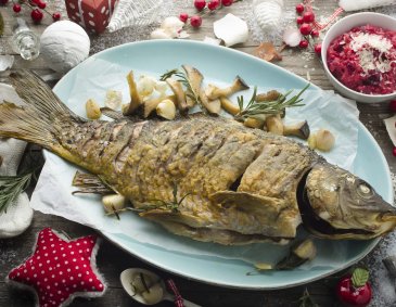 Weihnachtskarpfen mit Kräuterseitlingen und Rote Rüben-Risotto Weihnachtskarpfen mit Kräuterseitlingen und Rote Rüben-Risotto