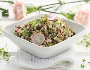 Quinoa-Linsen-Salat mit Radieschen und Zitronenmelisse Quinoa-Linsen-Salat mit Radieschen und Zitronenmelisse