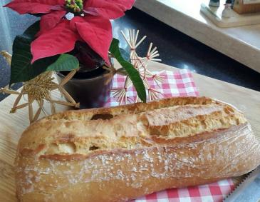 Ciabatta Ciabatta