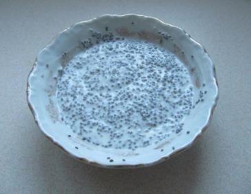 Joghurt mit Chiasamen Joghurt mit Chiasamen