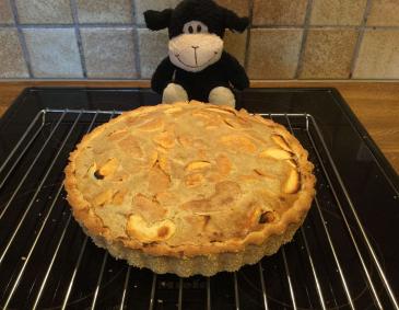 Versunkener Apfelkuchen - Variante I Versunkener Apfelkuchen - Variante I